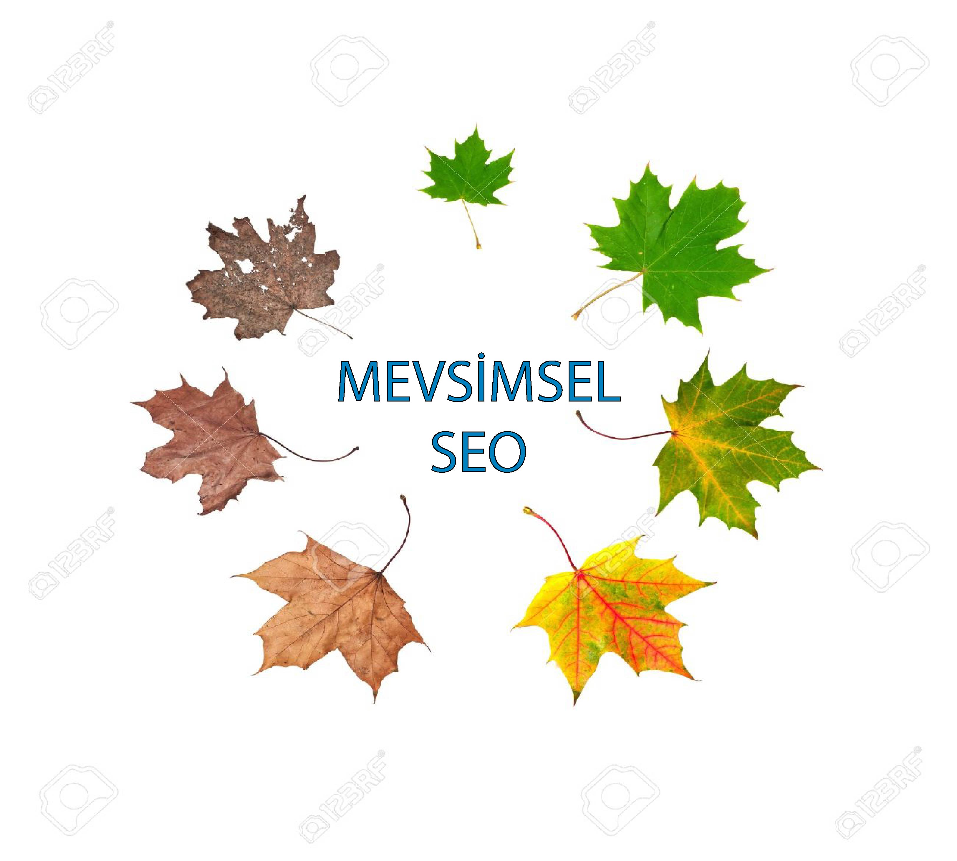 Mevsimsel SEO