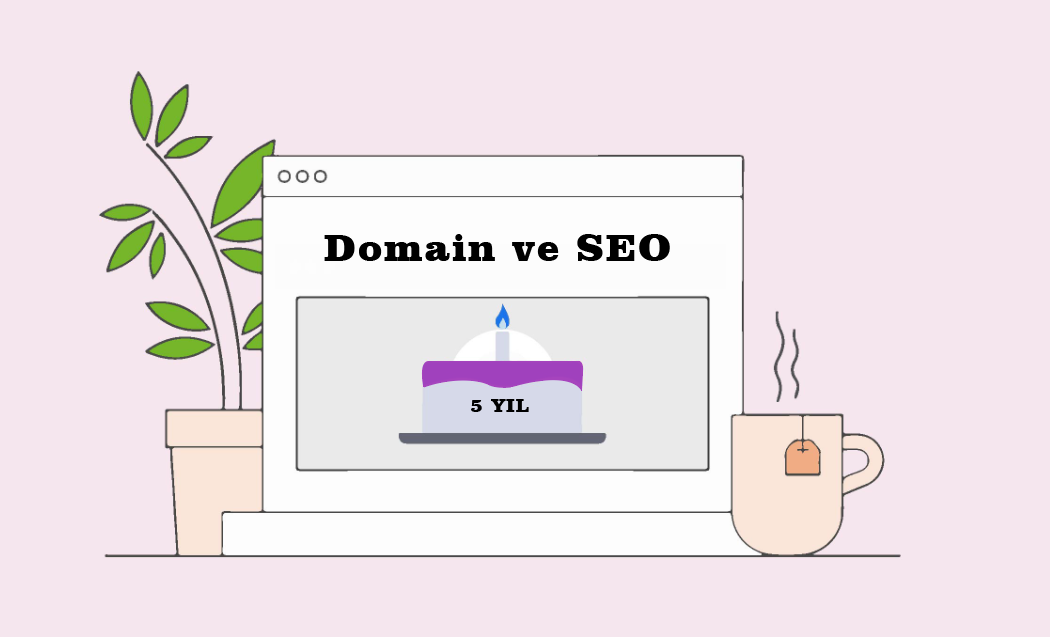 Domain yaşı ve SEO